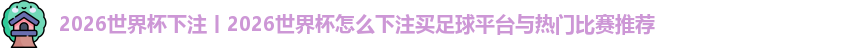 2026世界杯下注丨2026世界杯怎么下注买足球平台与热门比赛推荐
